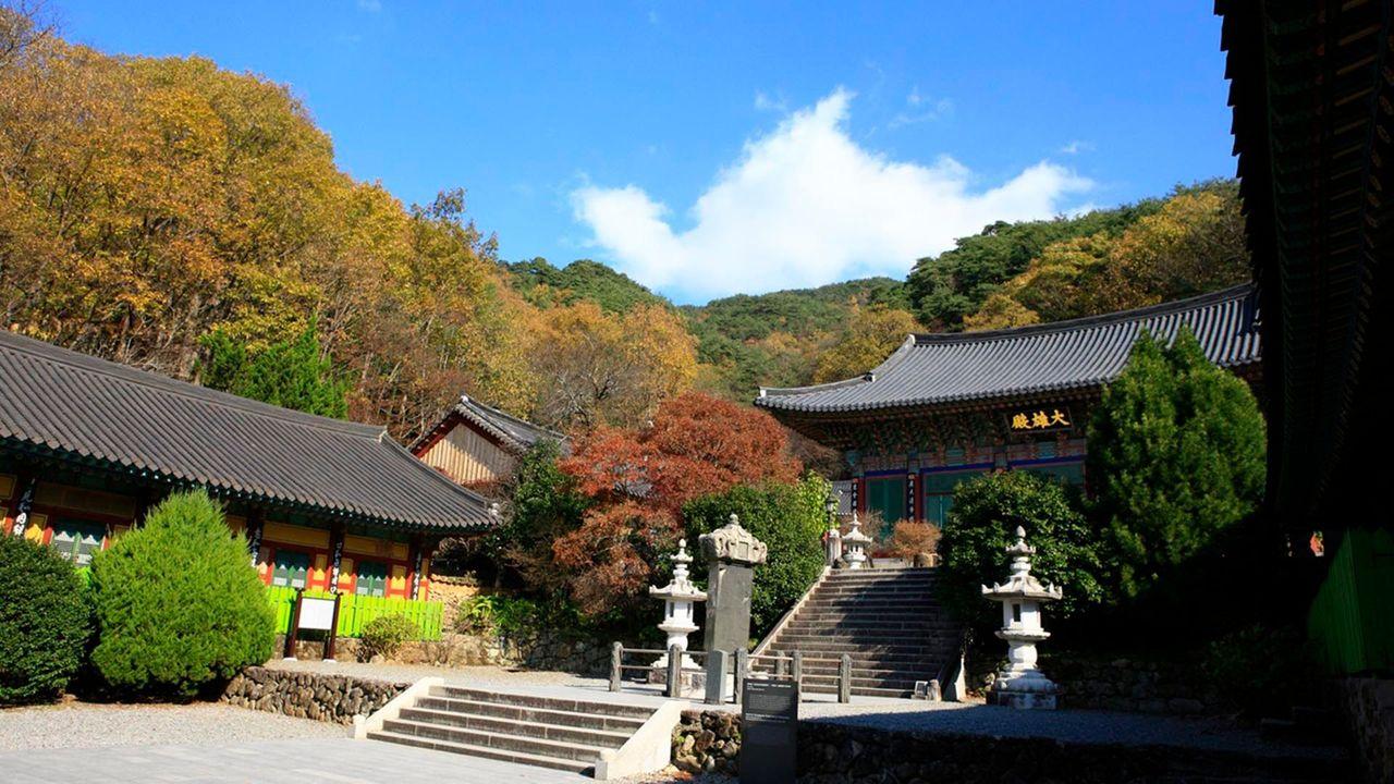 韓国地方旅行、韓国国立公園、智異山、周王山、雪岳山、韓国秋、韓国紅葉